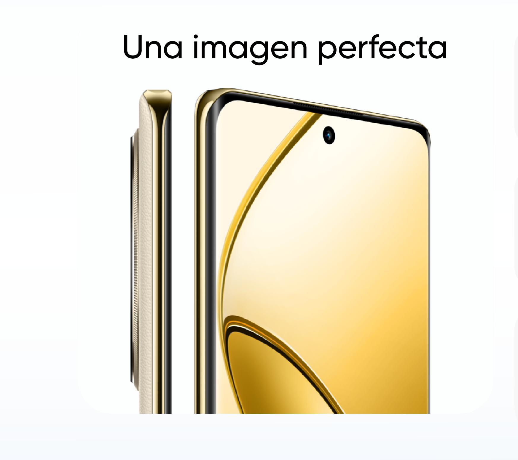Imagen grande